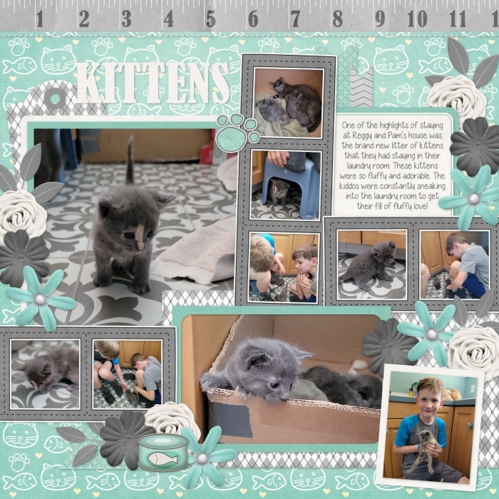 Kitten