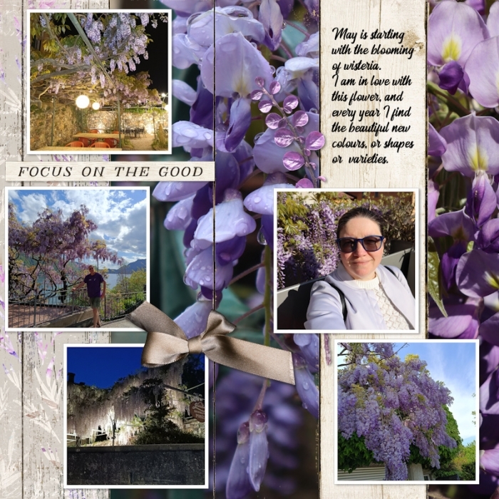 May passport 1