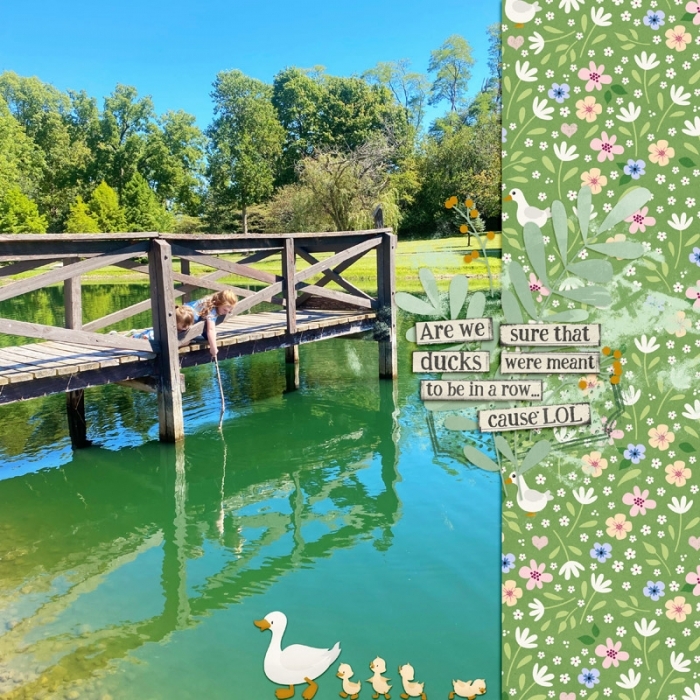 Pond