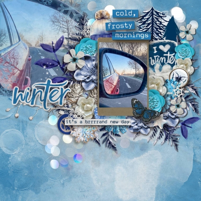 Winter reflection