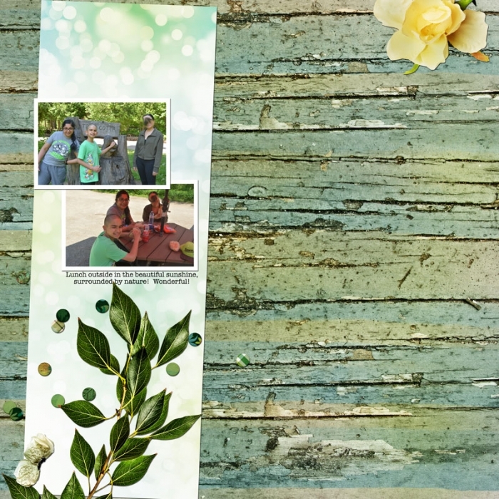 Scrapper's Portfolio (1pt) Inspired by Nature
