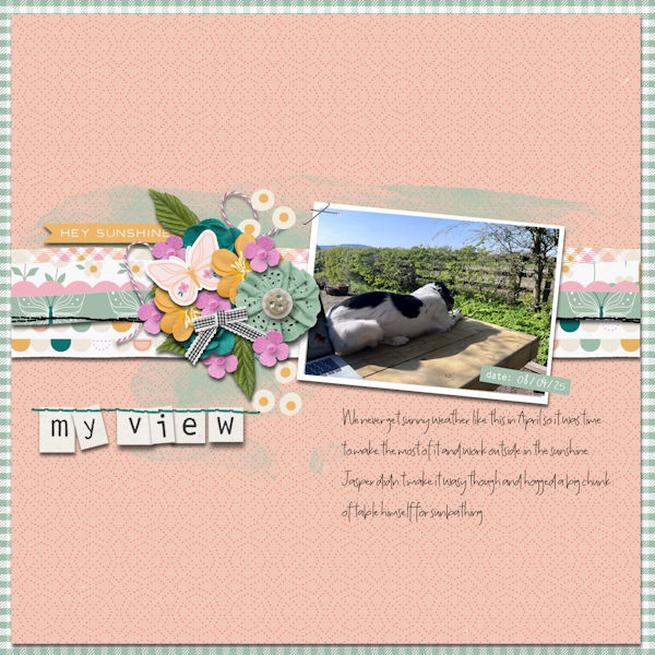 my_view_600