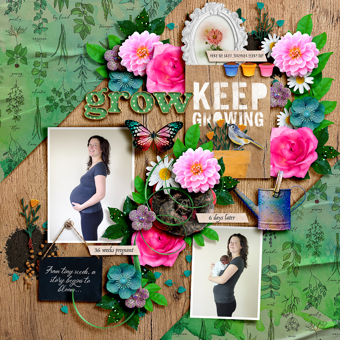 sweetdoll_herewegrow_fdd_SimplyStarry_DU_LEA