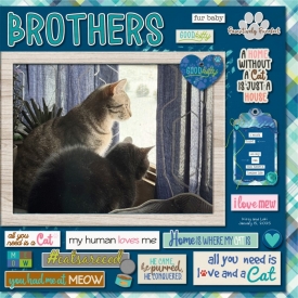011525_Brothers_700.jpg