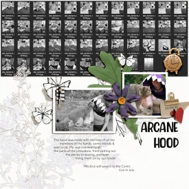 250423_Hood.jpg