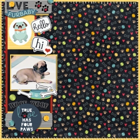 4-paws-cookie-2025-small.jpg