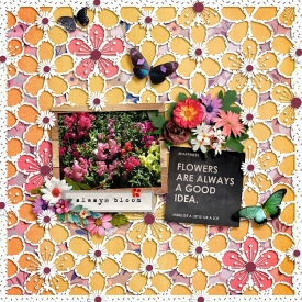 ALWAYS_BLOOM_1.jpg