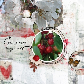 April-2025---Scrapper_s-Portfolio_Wordless-Page-copy.jpg