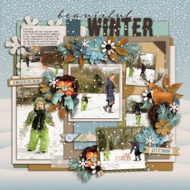 Beautiful-winter.jpg
