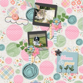 Circles_and_more_circles_600.jpg