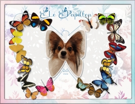 Le-Papillon.jpg