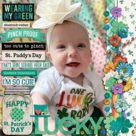 Little-LeprechaunWEB.jpg