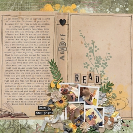 Lost_in_the_Pages.jpg