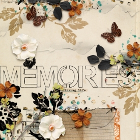 Memories55.jpg