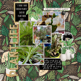Plants.png