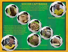 SOCCER-CAPYBARAS.jpg