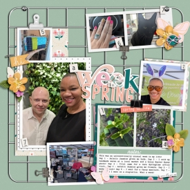 SSD_April2025_WeekInLife_A-Week-in-Spring.jpg