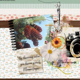 Sweet_Shoppe_March_Challenges_-_nspired_by_Nature.jpg