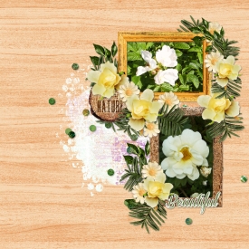beautiful_roses.jpg