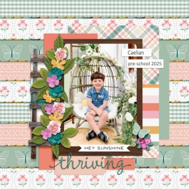 caelian-spring-sewn-small.jpg