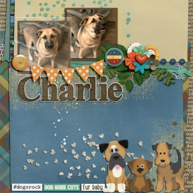 charlieWEB.jpg