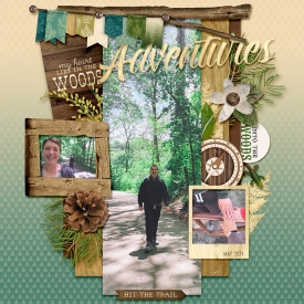 foresttrails_web.jpg