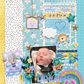 sd-dreambiglittleone-lorigaudWEB.jpg