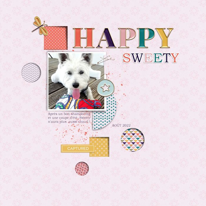 1782_bisSSD_Happy_Days_Soco_domi