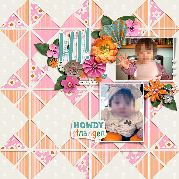 2025-0101-howdy700