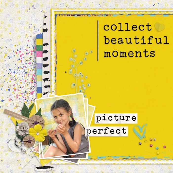 2101_PicturePerfect_Domi