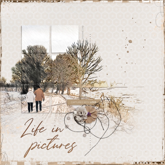 Life in Pictures