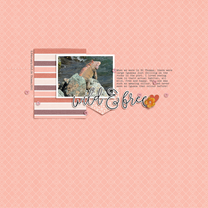 Soco_SCNo7-Carefree_LO1_ClaireG