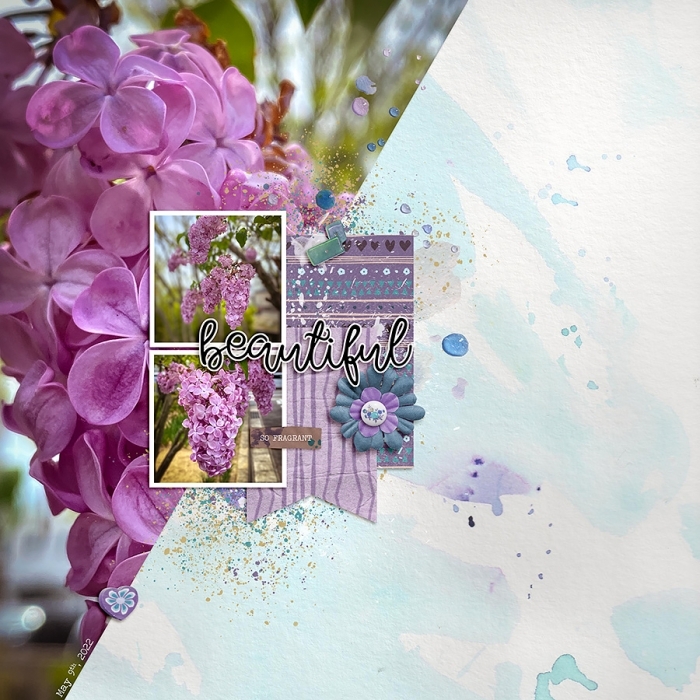 Lilac