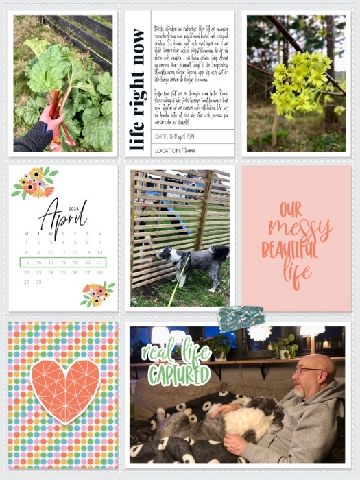 Week 16a 2024