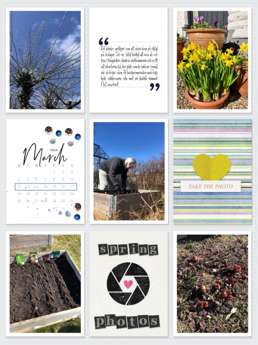 Week 11a 2024