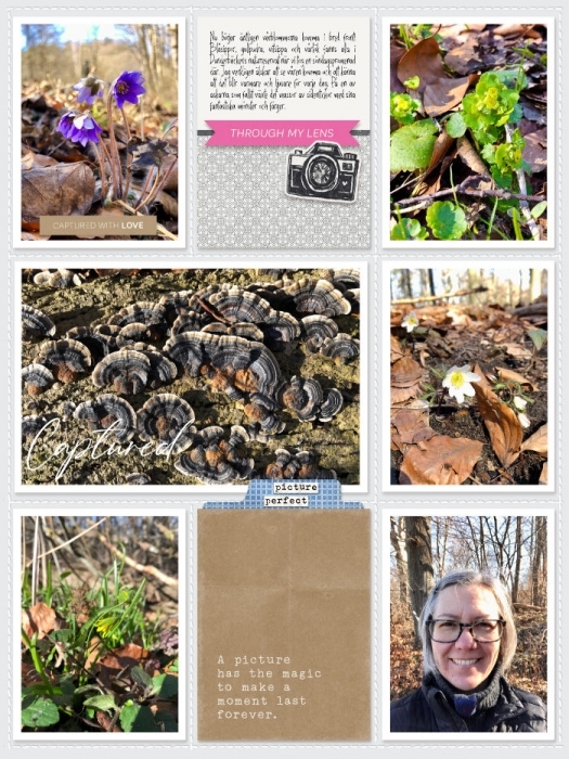 Week 11b 2024