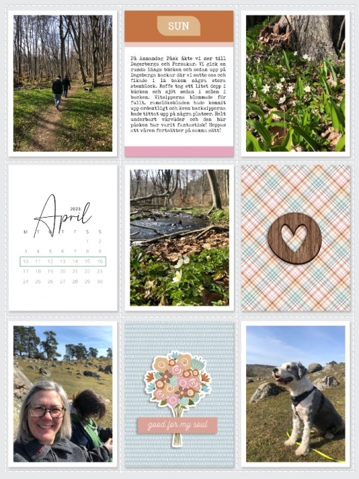 Week 15a 2023