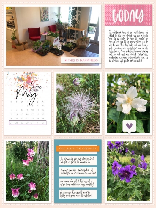 Week 22a 2024