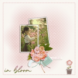 Dady_soco_happygarden-copy.jpg