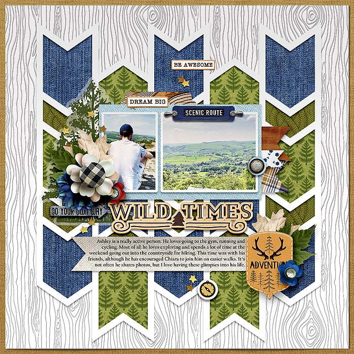 Wild_Times2