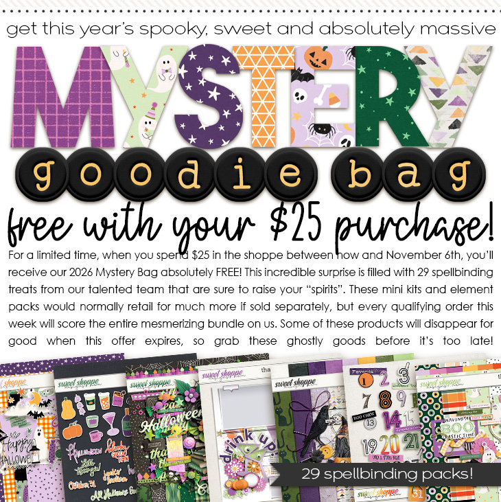 2026 Mystery Bag Spend $25 Offer