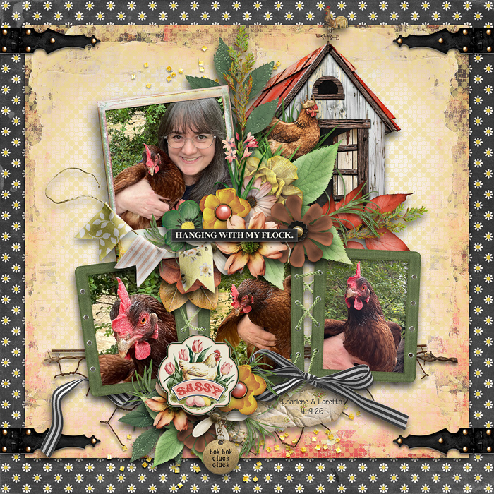 SugarBabe Layout