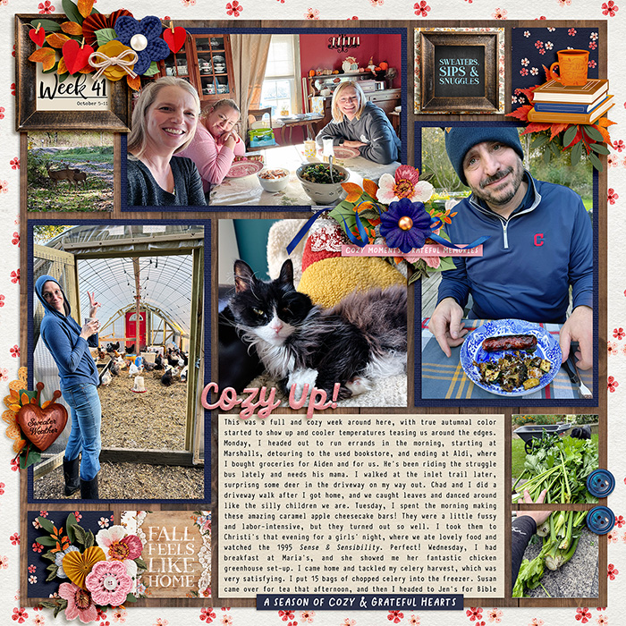 SugarBabe Layout