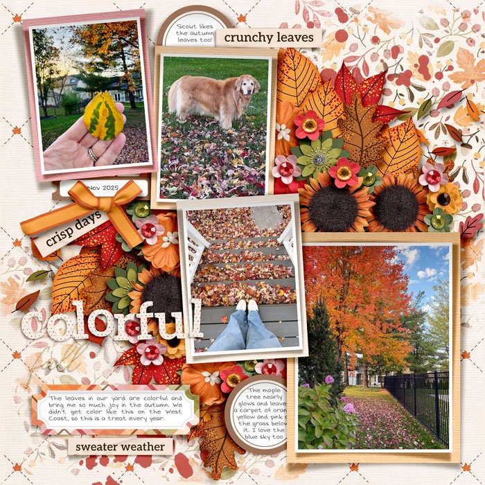 SugarBabe Layout