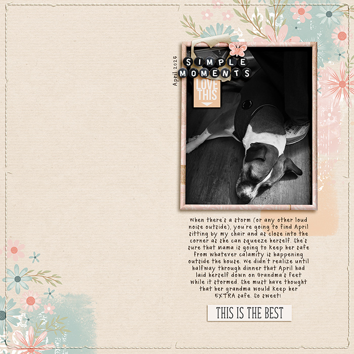 SugarBabe Layout