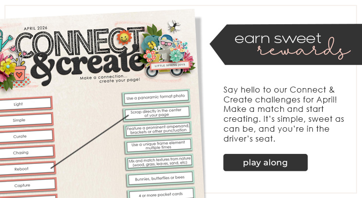 Connect and Create
