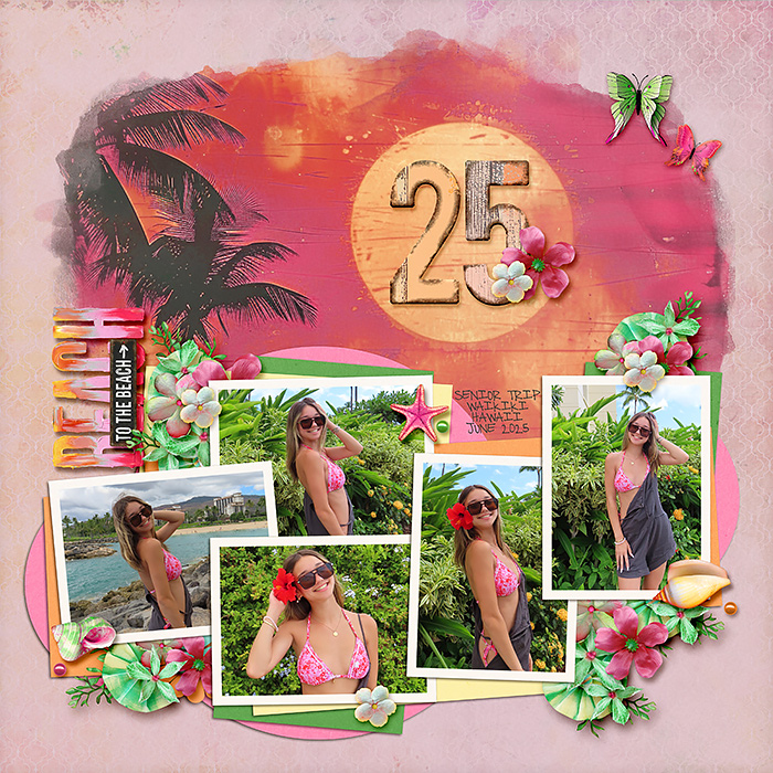 SugarBabe Layout