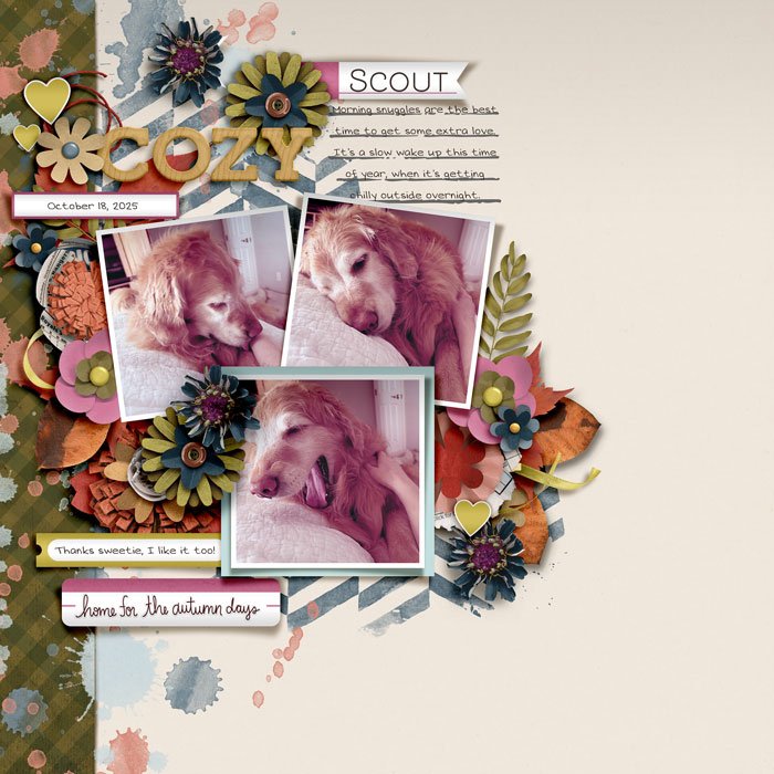 SugarBabe Layout